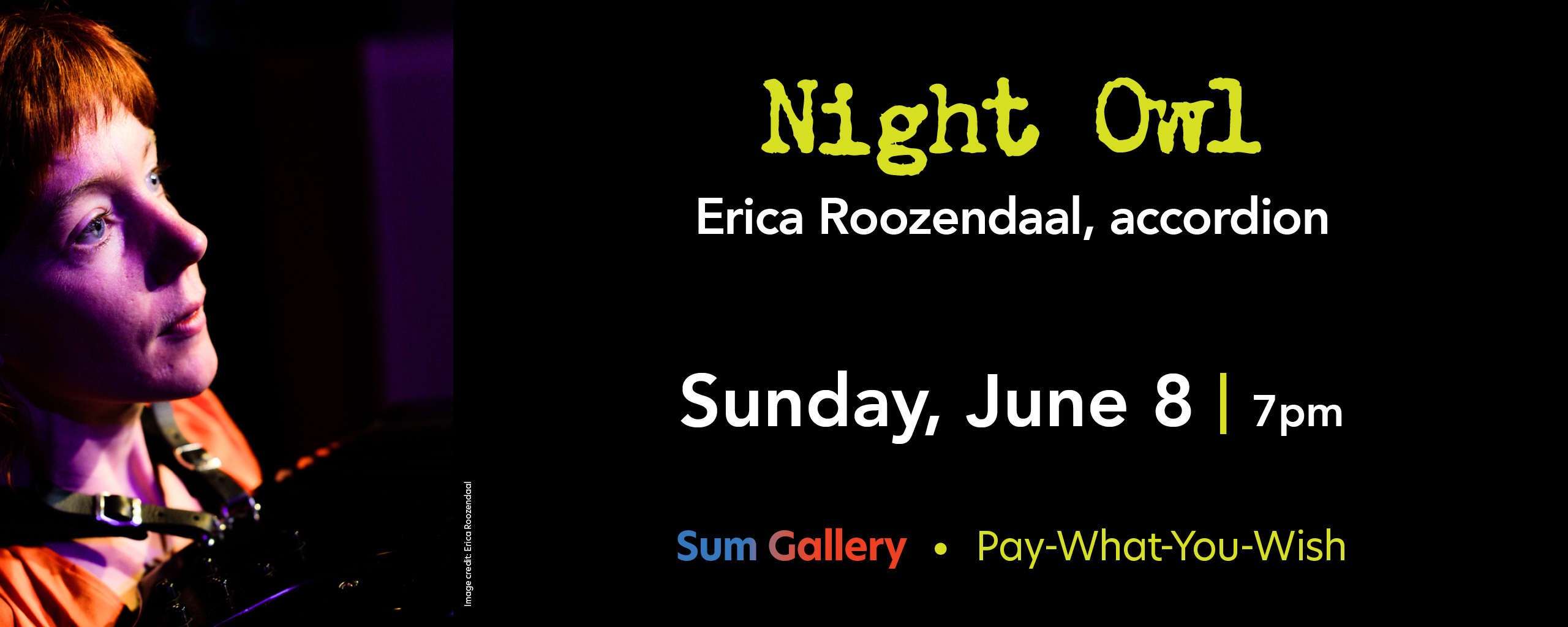 Night Owl Banner